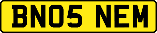 BN05NEM