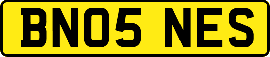 BN05NES