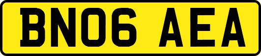 BN06AEA