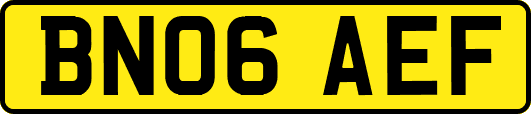 BN06AEF