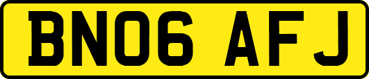 BN06AFJ