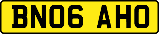 BN06AHO