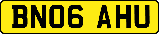 BN06AHU