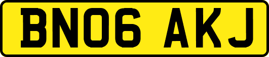BN06AKJ