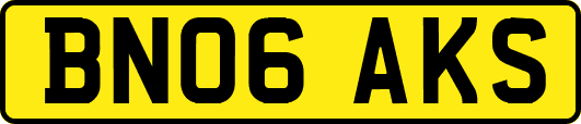 BN06AKS