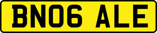 BN06ALE