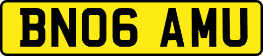BN06AMU