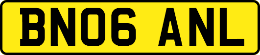 BN06ANL