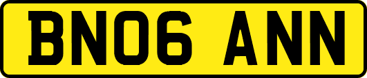 BN06ANN
