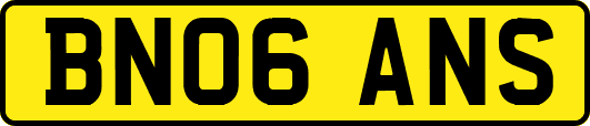 BN06ANS