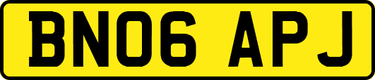 BN06APJ