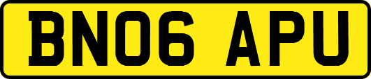 BN06APU