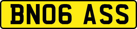 BN06ASS