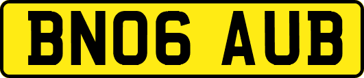 BN06AUB