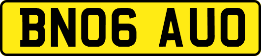 BN06AUO