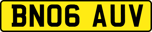 BN06AUV