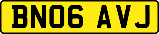 BN06AVJ