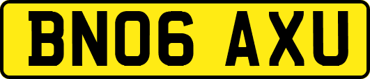 BN06AXU