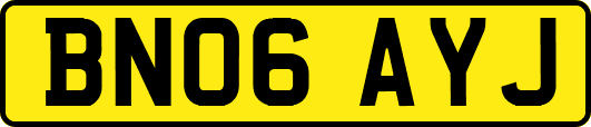 BN06AYJ