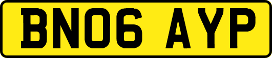 BN06AYP