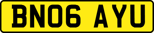 BN06AYU