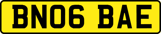 BN06BAE