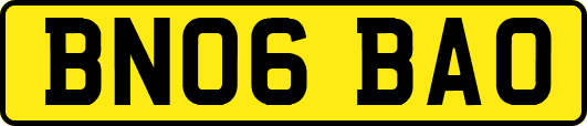 BN06BAO
