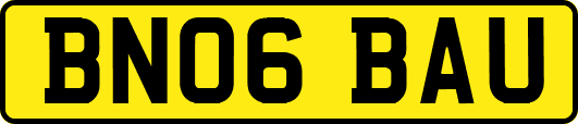 BN06BAU