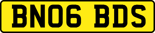 BN06BDS