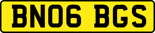 BN06BGS