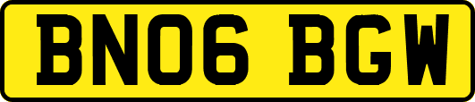 BN06BGW