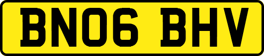 BN06BHV