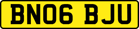 BN06BJU