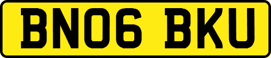 BN06BKU