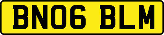 BN06BLM
