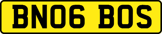 BN06BOS