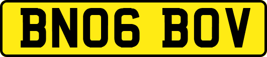 BN06BOV
