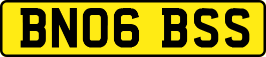 BN06BSS