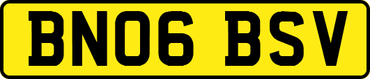 BN06BSV