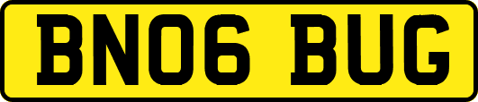 BN06BUG