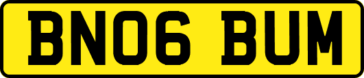 BN06BUM