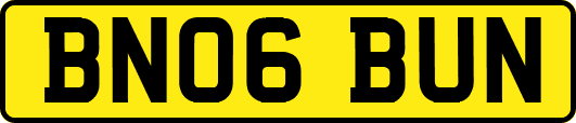 BN06BUN