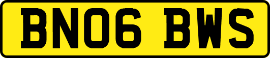 BN06BWS