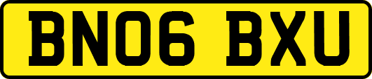 BN06BXU