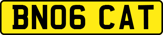 BN06CAT