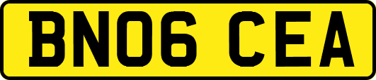 BN06CEA