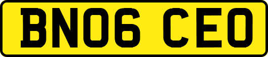 BN06CEO