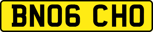 BN06CHO