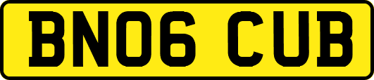 BN06CUB