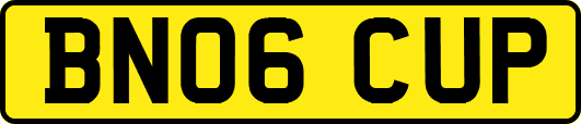 BN06CUP